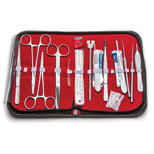 Dissecting Set